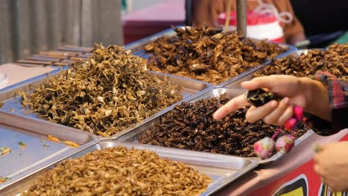 Primer plano de una hembra que compra insectos fritos en el mercado