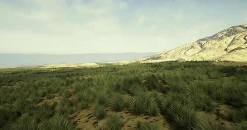 Realistic Aerial View of Desert Mountain Landscape with Green Plants