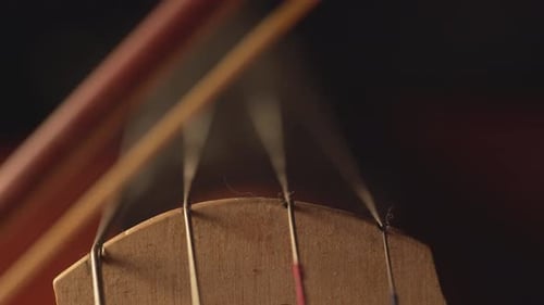 macro close up of cello, cello bow , cello playing and strings