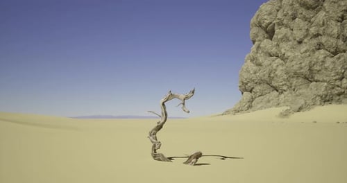 Twisted Tree Trunk in Desert Landscape Under Clear Blue Sky