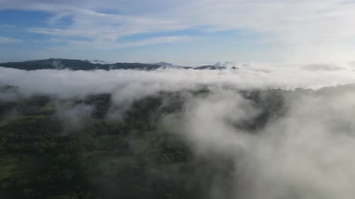 Aerial View of Tropical Forest Shrouded in Clouds