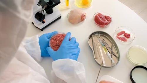 Lab Worker Inspecting Ground Meat in Petri Dish