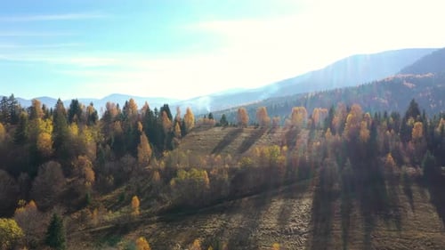 Arbres d'automne sur la colline des montagnes illuminés par la lumière du soleil