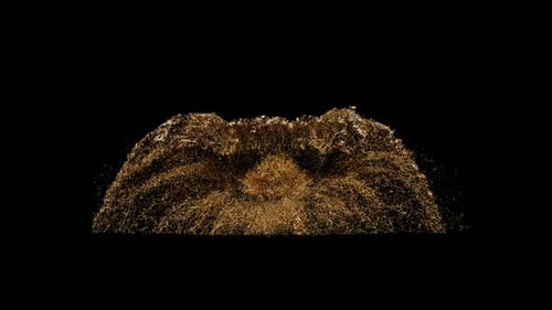 Golden Glitter Particle Reveal Opener