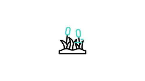 Flower Animated Icon