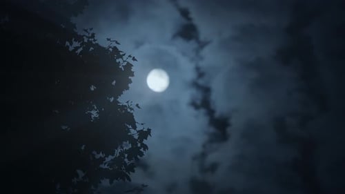 The Moon Shines Brightly Through a Cloudy Night Sky Casting a Silhouette of a Tree