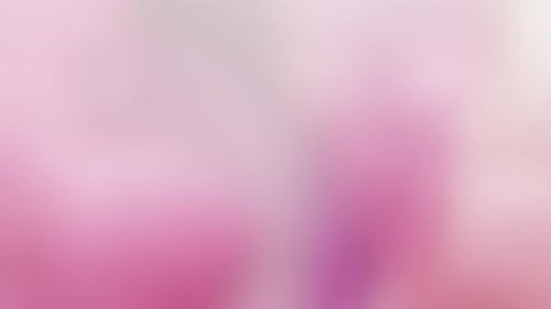 Abstract Smooth Fluid Color Gradient Background