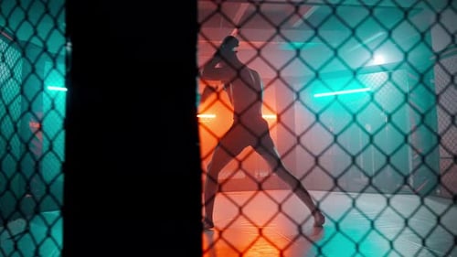 Luchadores de MMA en el ring