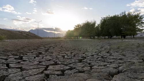 Écologie