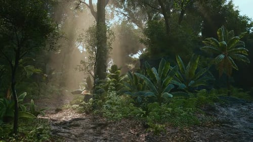 Sunlight Filtering Through Lush Greenery in a Tropical Forest Setting