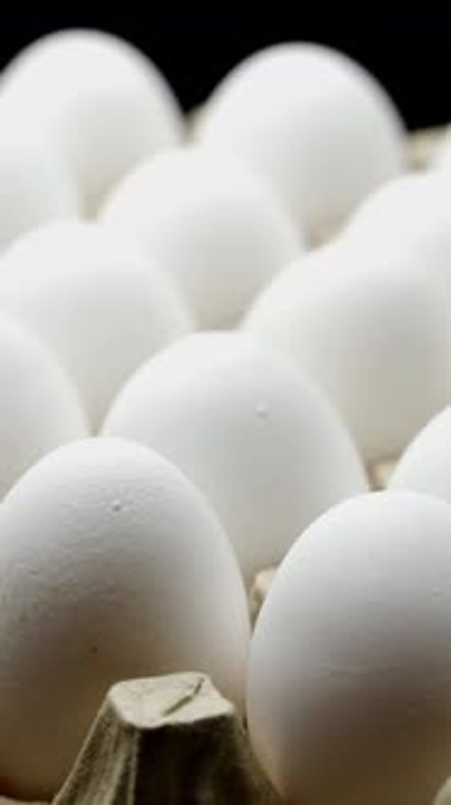 White chicken eggs in a cardboard box. Eggs in the container Vertical video