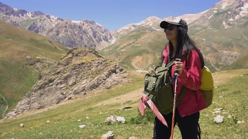 Hiker Traveler