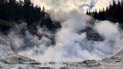 A plume of steam rises from a boiling hot spring in a rocky volcanic landscape surrounded by trees