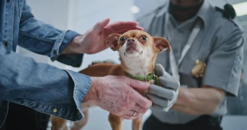 Security Officer Inspecting Dog Placing in Carrying Case TSA Pets Screening Procedures