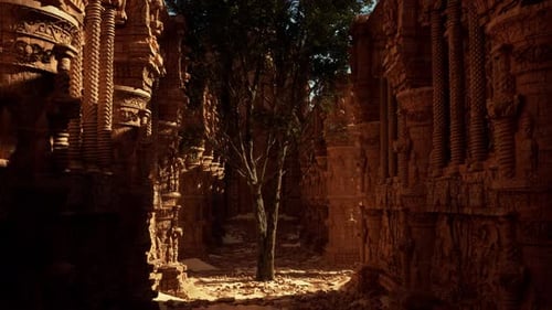 Un arbre pousse au milieu d'une ruelle étroite
