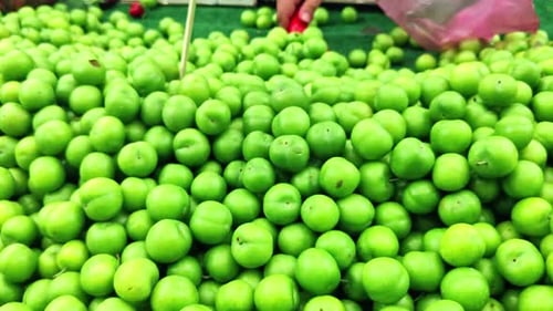 Sale Of New Harvest Green Plum Pile In The Market
