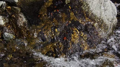 Crystal clear water in slow motion flowing downstream on a mountain river. rocks and leaves under th