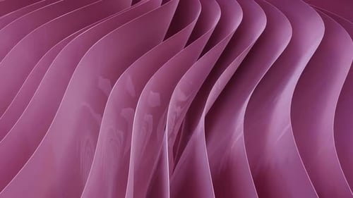 Abstract Pink Fluid Waves Motion Background Loop