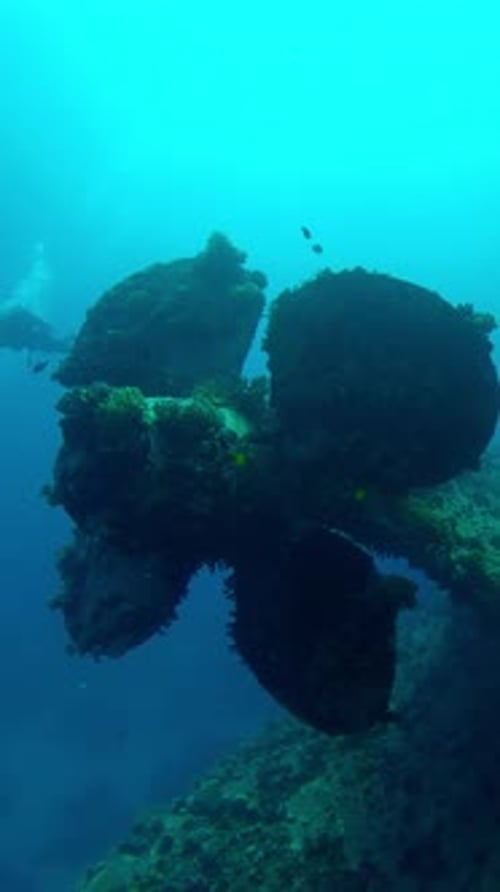 Propeller of wreck ferry Salem Express, scuba divers look at it