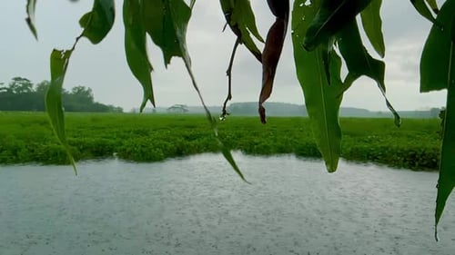 slow motion raindrops
