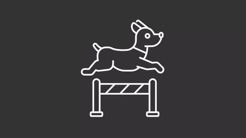 Animated Line Icon of a Dog Jumping Over a Hurdle