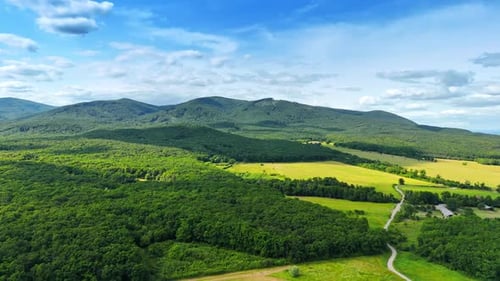 Amazing green forests cover the slopes of the mountains. Nature landscape on sunny summer day.