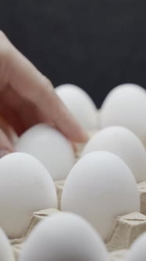 Eggs are stacked in a tray. Crates of fresh eggs at a poultry farm. Vertical video