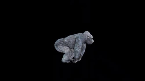 Gorilla Attack
