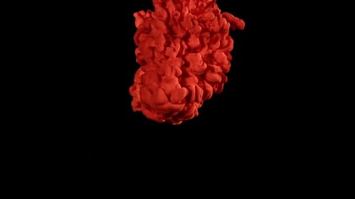 Red Paint in Water on a Black Background Filmed on a Highspeed Camera at 1000 Fps