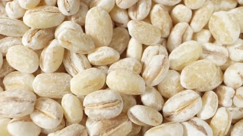 Barley seeds without hulls