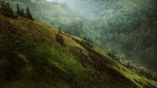 Lush Green Hillside With Abundant Forest Cover