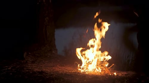 A Fire Burns on the Shore of a Forest Lake