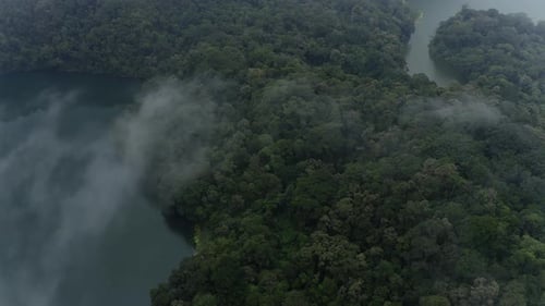 Tropical Forest and Lake Through Clouds