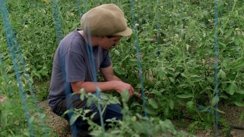 Young Adult Farming in Greenhouse