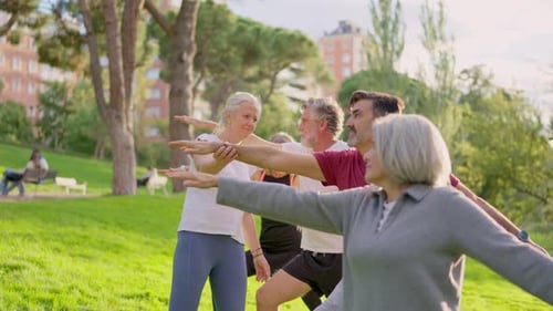 Senior People Practicing Yoga in the Park