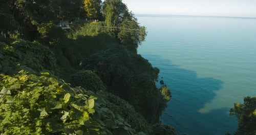 Batumi Adjara Georgia Bright Lush Green Vegetation Beautiful Summer View From Botanical Garden Of