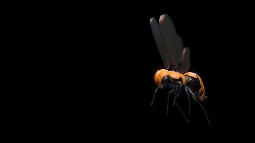 3D Animated Wasp Flying with Alpha Channel