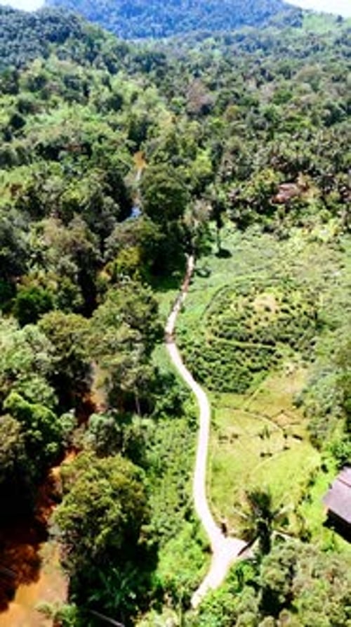Beautiful sunny view of Sri Lanka nature.