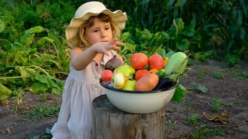 Vegetable Harvest with a Woman in a Garden Selective Focus