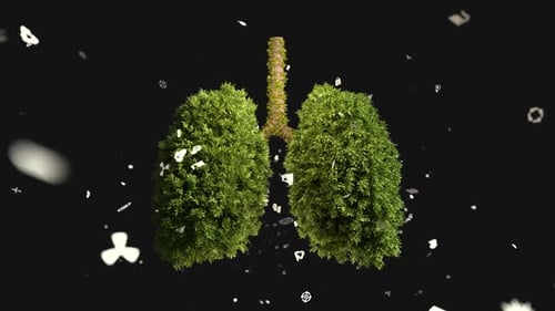 Lungs Made of Green Foliage Symbolizing Health