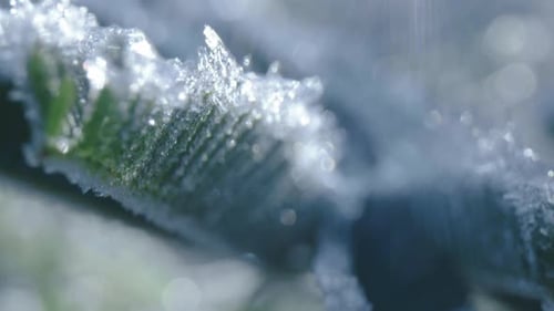 Winter-Morgenlicht mit Eis
