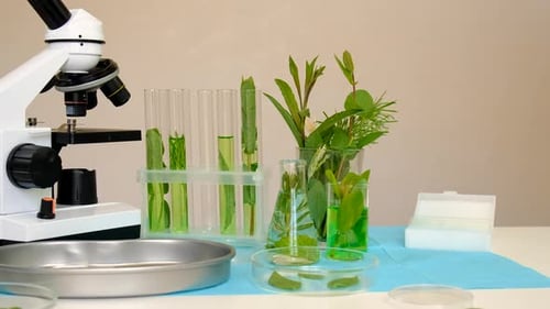 Plant Specimen Analysis in Laboratory Setting