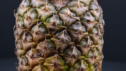 abacaxi de perto