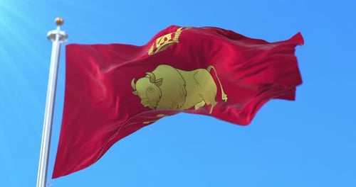 Red Flag with Golden Bison and Castle Waving in Wind