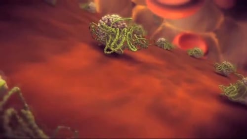 3D Animation of Blood Clot Forming in a Blood Vessel