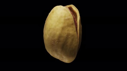 One pistachio in shell. Rotates. Close-up. Black background