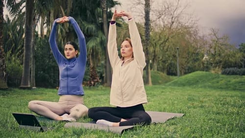 Two Women Stretching Outdoors in a Park