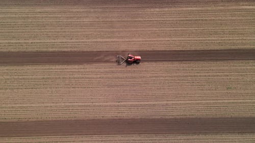 Agricultural Red Small Tractor in the Field Plowing Works in the Field Flying Over a Tractor Working