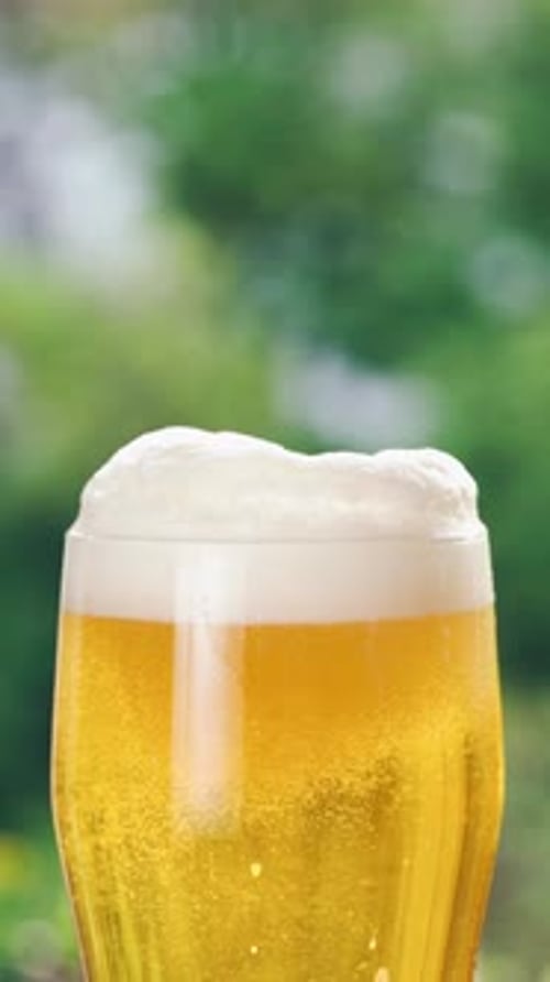 Bière fraîche dans un verre en gros plan