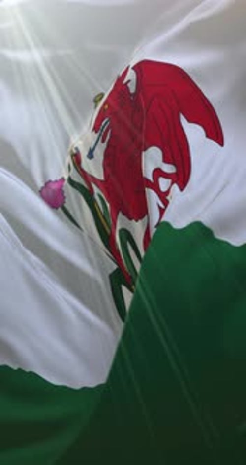 Drapeau de Cardiff